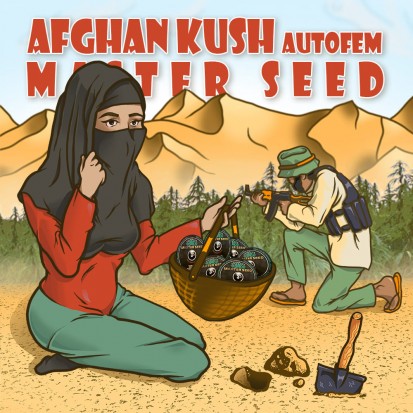 Семена Auto Afghan Kush fem. Испания (Master-Seed)