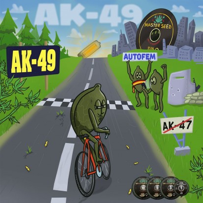 Насіння Auto AK-49 fem. Іспанія (Master-Seed)
