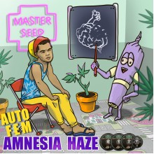 Auto Amnesia Haze (Master-Seed)