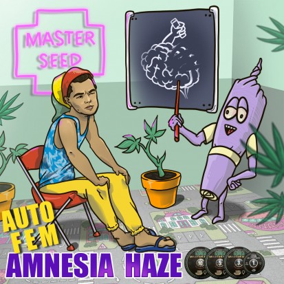 Семена Auto Amnesia Haze fem. Испания (Master-Seed)