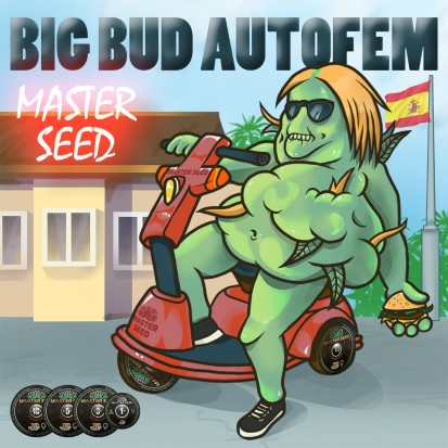 Семена Auto Big Bud fem. Испания (Master-Seed)