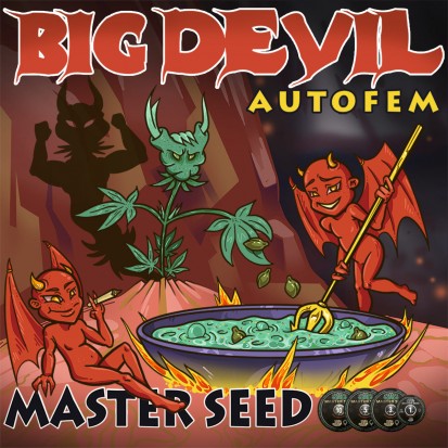 Семена Auto Big Devil fem. Испания (Master-Seed)