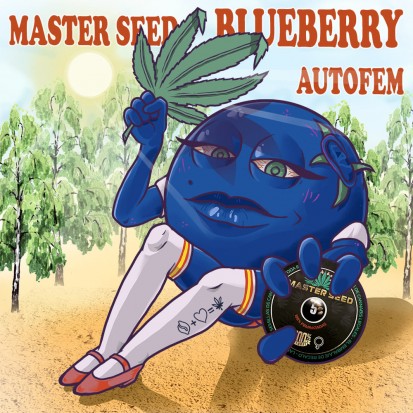 Семена Auto Blueberry fem. Испания (Master-Seed)