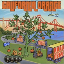 Auto California Orange (Master-Seed)
