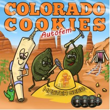 Auto Colorado Cookies (Master-Seed)