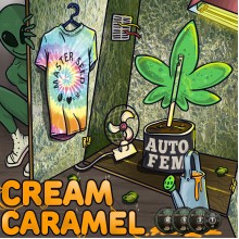 Auto Cream Caramel (Master-Seed)