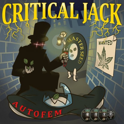 Семена Auto Critical Jack fem. Испания (Master-Seed)