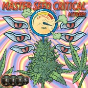 Auto Critical (Master-Seed)