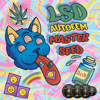 Семена Auto LSD fem. Испания (Master-Seed)