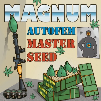 Семена Auto Magnum fem. Испания (Master-Seed)