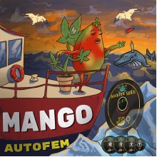 Auto Mango fem. (Master-Seed)
