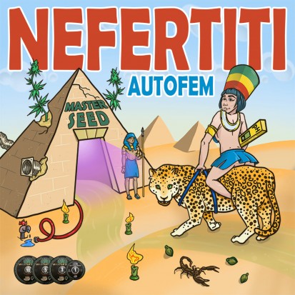 Семена Auto Nefertiti fem. Испания (Master-Seed)