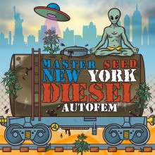 Auto New York Diesel (Master-Seed)