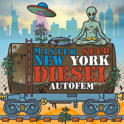 Насіння Auto New York Diesel fem. Іспанія (Master-Seed)