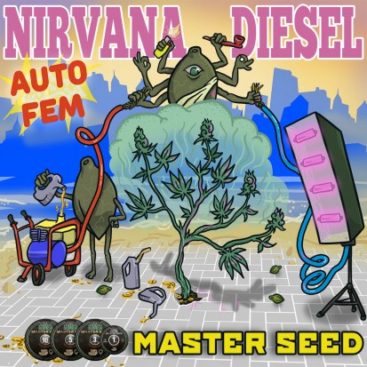 Семена Auto Nirvana Diesel fem. Испания (Master-Seed)