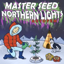 Auto Northern Lights (Master-Seed)