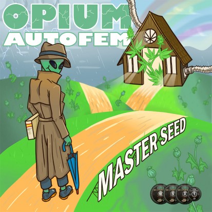 Семена Auto Opium fem. Испания (Master-Seed)