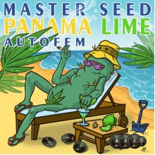 Auto Panama Lime (Master-Seed)