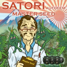Auto Satori (Master-Seed)