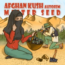 Auto Afghan Kush (Master-Seed)