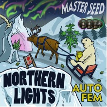 Auto CBD Northern Lights (Master-Seed)