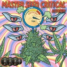 Auto Critical (Master-Seed)