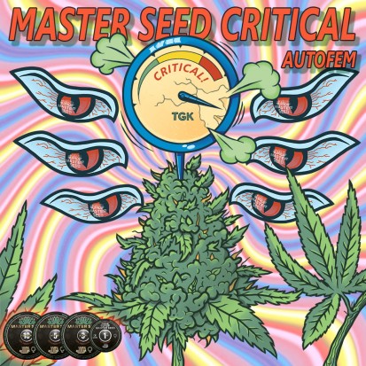 Семена Auto Critical fem. Испания (Master-Seed)