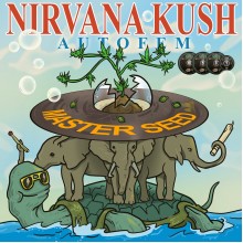 Auto Nirvana Kush (Master-Seed)