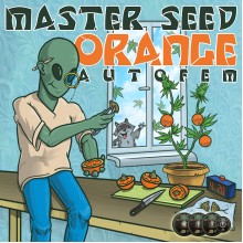 Auto Orange (Master-Seed)