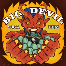 Big Devil (Master-Seed)