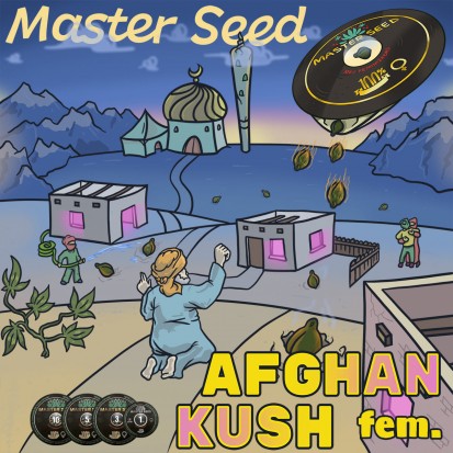 Семена Afghan Kush fem. Испания (Master-Seed)