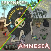 Amnesia (Master-Seed)