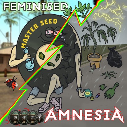 Насіння Amnesia fem. Іспанія (Master-Seed)