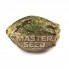 Семена Big Bud fem. Испания (Master-Seed)