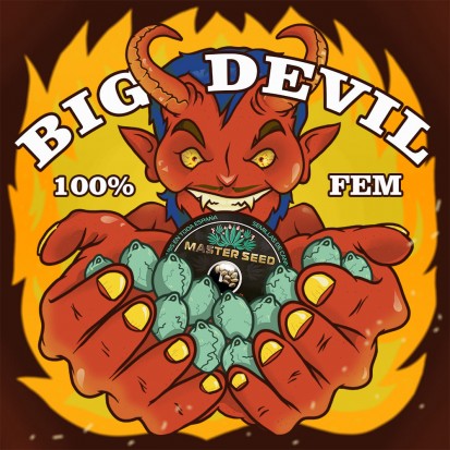 Семена Big Devil fem. Испания (Master-Seed)