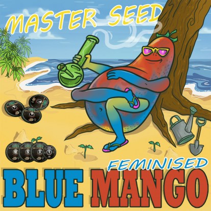 Семена Blue Mango fem. Испания (Master-Seed)
