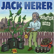 Jack Herer (Master-Seed)