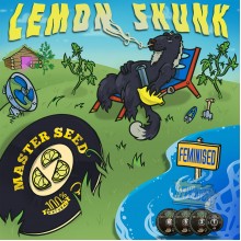 Lemon Skunk (Master-Seed)