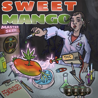 Насіння Sweet Mango fem. Іспанія (Master-Seed)