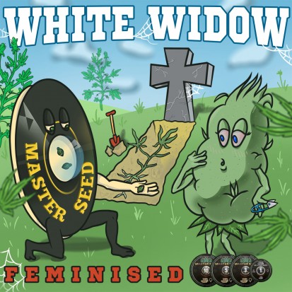 Семена White Widow fem. Испания (Master-Seed)